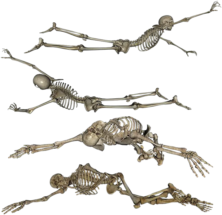  Skeleton Laying Crawling Free Image On Pixabay Crawling Skeleton Png Skeleton Png Transparent