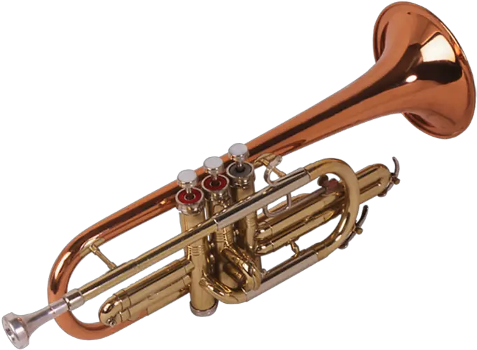  Download Trumpet Png Image With No Background Pngkeycom Tuba Trombone Brass Instruments Trumpet Transparent