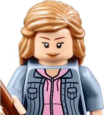  Download Hermione Granger Harry Potter Lego Characters Girl Png Hermione Granger Png