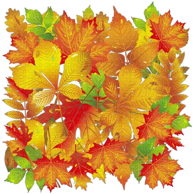  Download Kaz Creations Autumn Fall Leaves Leafs Background Png