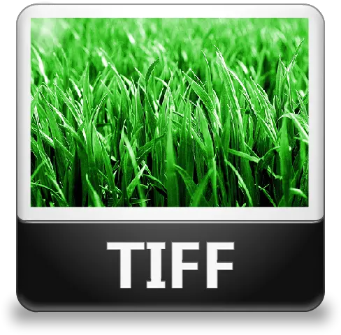  Tiff File Icon Lozengue Filetype Icons Softiconscom Ecosystem Producer Png Open File Icon