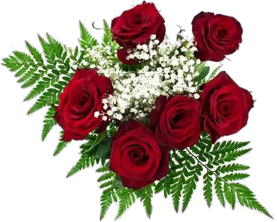  Flower Orders Center Stageacademy Red Roses For Day Png Roses Png