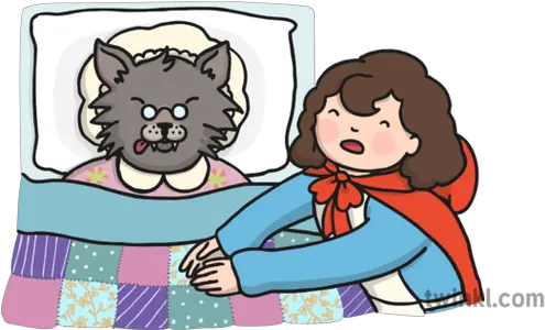  Little Red And Wolf In Bed Illustration Twinkl Wolf In Bed Png Wolf Cartoon Png