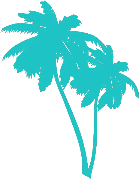  Download Free Png Palm Trees Clip Art Vector Clip Vector Palm Tree Png Palm Tree Clip Art Png