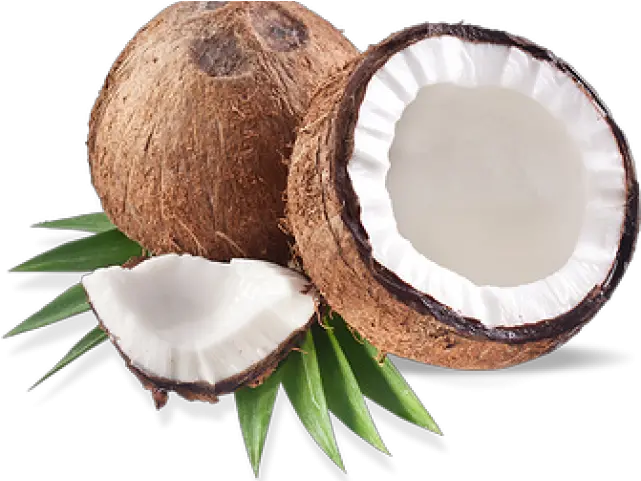  Coconut Png Transparent Images 8 Coconut Coconut Png