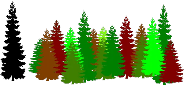  Forest Trees Clipart Png Pine Trees Silhouette Png Forest Clipart Png