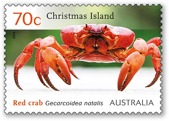  Christmas Island Red Crab Migration Australia Post Crabs In Australia Christmas Islands Png Crab Transparent