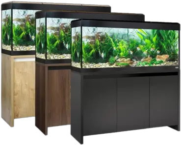  Transparent Png And Vectors For Free Aquarium Fluval Roma 240 Fish Tank Png