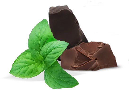  Peppermint Png Images Free Download Mint Mint Leaves And Chocolate Mint Leaf Png