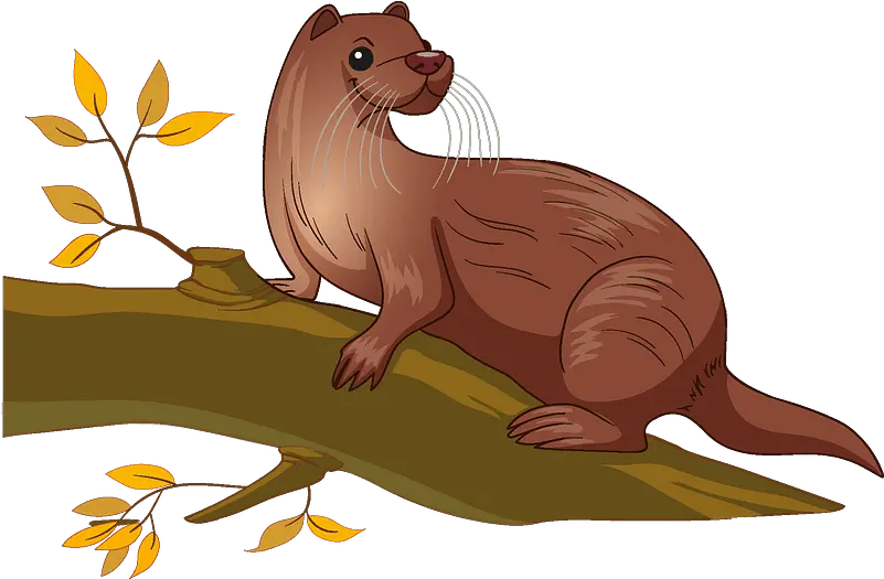  Otter Clipart North American River Otter Png Otter Png