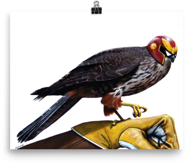  Captain Falcon Poster Png Captain Falcon Transparent