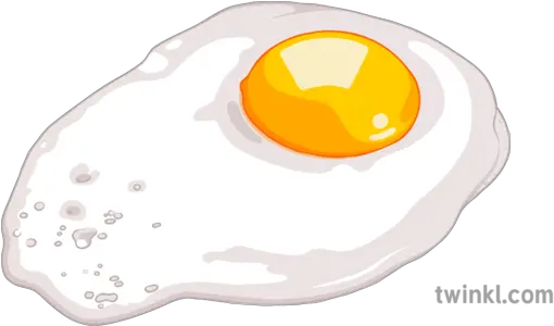  Fried Egg 3 Illustration Twinkl Fried Egg Png Fried Egg Png