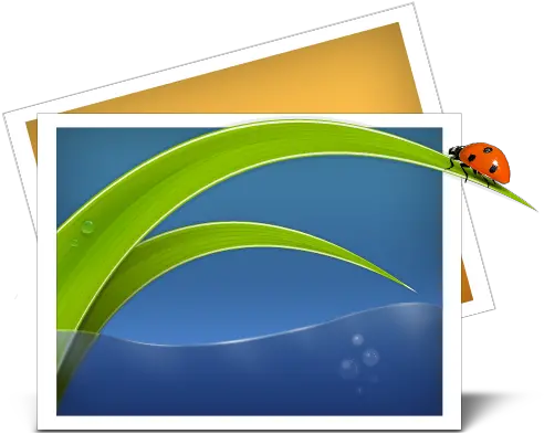  Photo Png Icon Windows 7 Library Icons Photos Icon Png