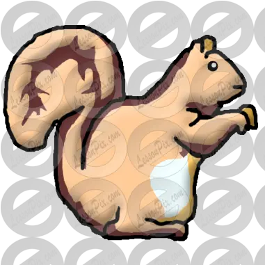  Squirrel Picture For Classroom Therapy Use Great Squirrel Png Squirrel Clipart Png