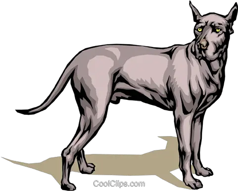  Download Great Dane Royalty Free Vector Transparent Great Dane Clipart Png Great Dane Png