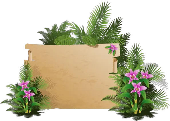  Summer Exotic Board Png Clipart Exotic Board Png Board Png