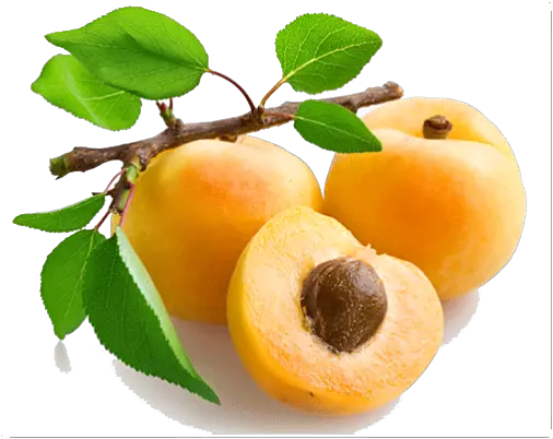  Apricot Open Png Image Arts Peach Kernel Carrier Oil Fruit Tree Png