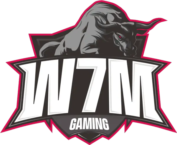  W7m Gaming Liquipedia Fortnite Wiki W7m Gaming Png Fortnite Youtube Logo