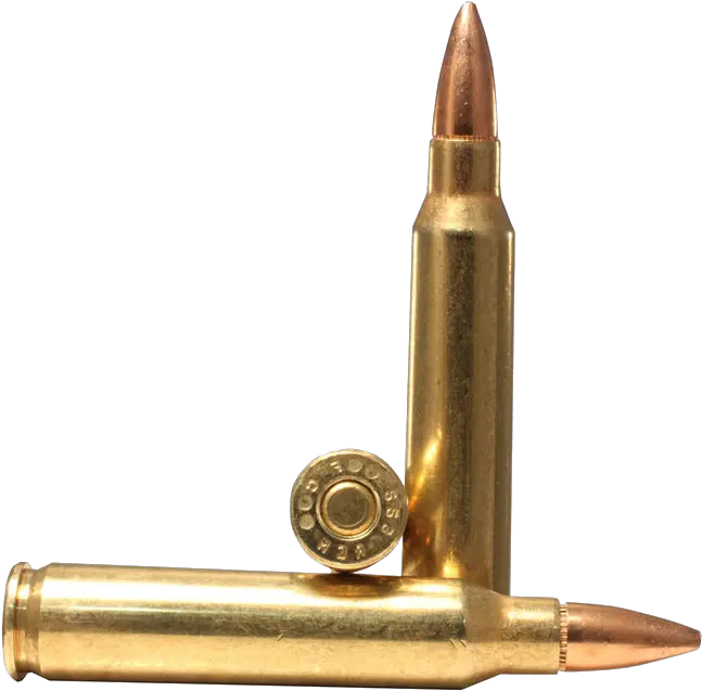  Bullet Shells Ammunition Png Bullet Shells Png