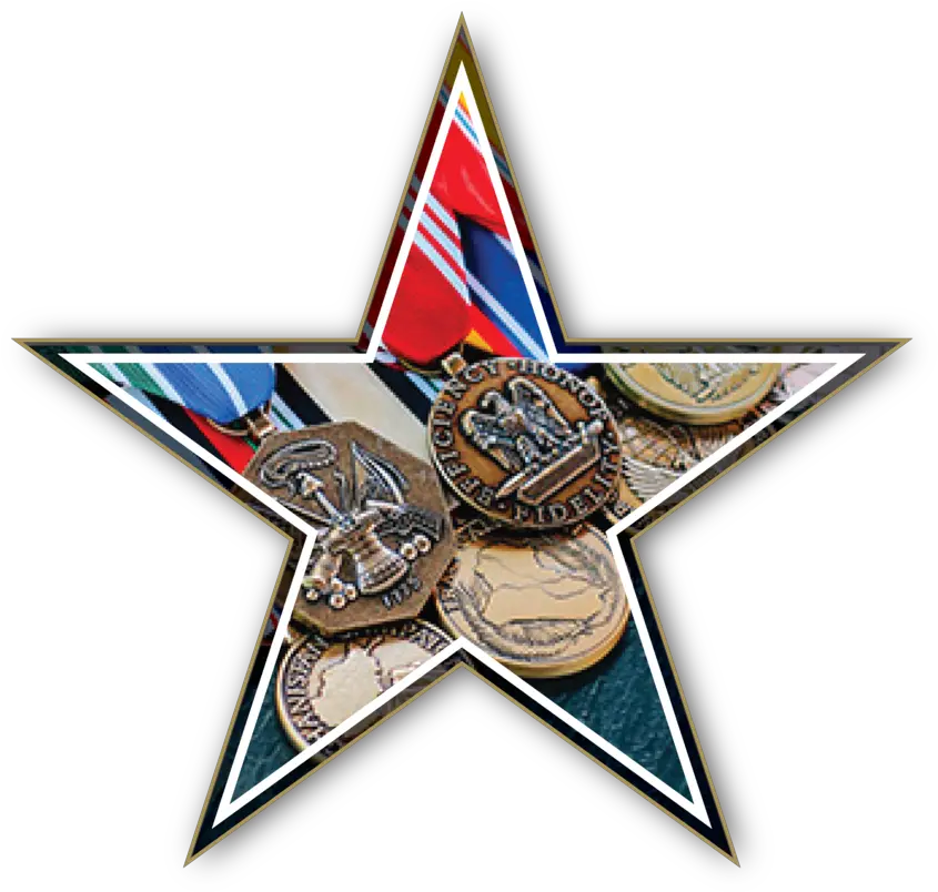  Vfw Png Auxiliary Logo