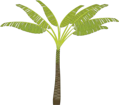  Over 60 Free Palm Leaves Vectors Pixabay Pixabay Palm Tree Clip Art Png Palm Leaf Transparent