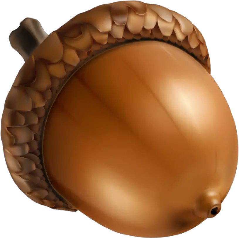  Acorn Png Image Bellotas Png Acorn Transparent Background