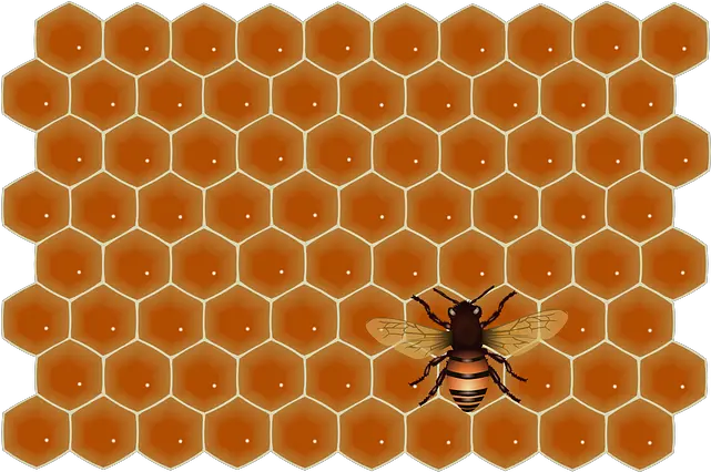  Z 1109895174 Png V74 Photos Celinnyi Honeycomb Honey Pattern