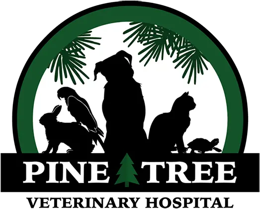  Pine Tree Veterinary Hospital Pllc Better Business Bureau Silhouette Png Pine Tree Logo