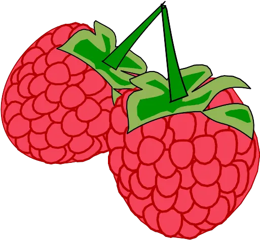  Raspberries Vector Svg Icon Png Repo Free Png Icons Fresh Raspberry Icon