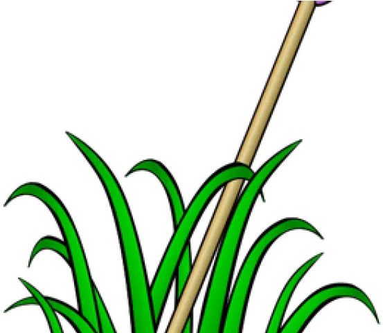  Grass Clip Art Transparent Cartoon Jingfm Grass Clip Art Png Tall Grass Png
