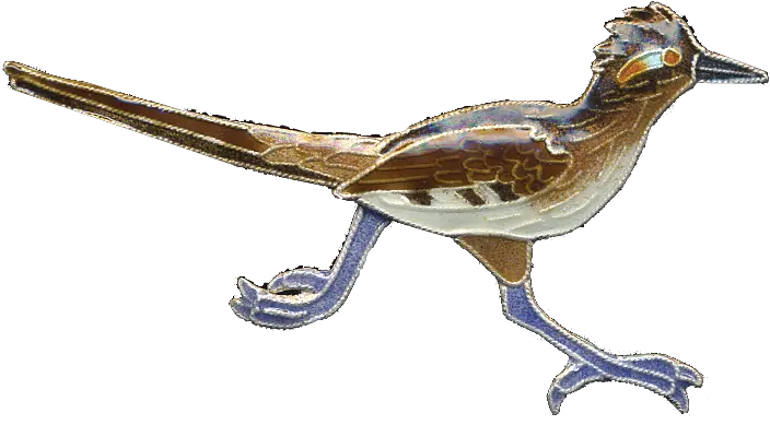  Road Runner Bird Transparent Png Transparent Roadrunner Road Runner Png