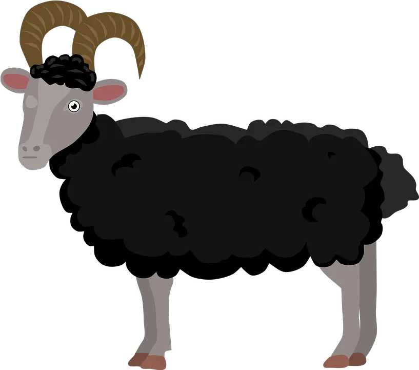  Sheep Lamb Ram Free Vector Graphic On Pixabay Sheep Png Lamb Png