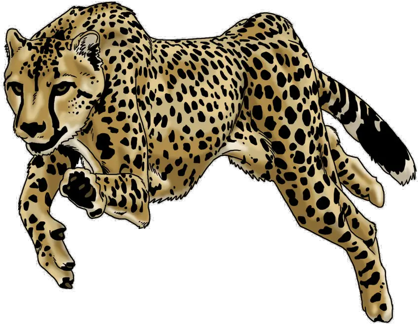  Running Cheetah Png Picture The La Brea Tar Pits And Museum Cheetah Png