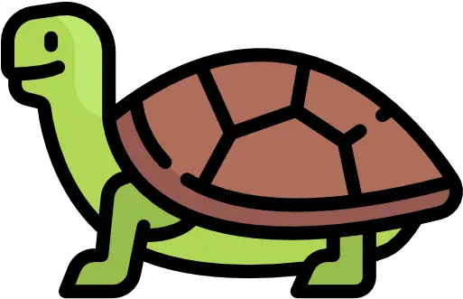  Turtle Free Animals Icons Caricatura Imágenes De Tortuga Png Turtle Icon Png