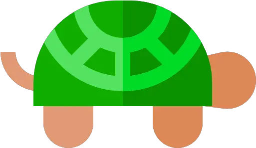  Free Icon Turtle Box Turtles Png Turtle Icon Png