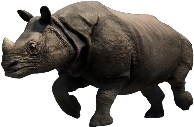  Rhino White Background Images Awb Far Cry 4 Rhino Png Rhino Png