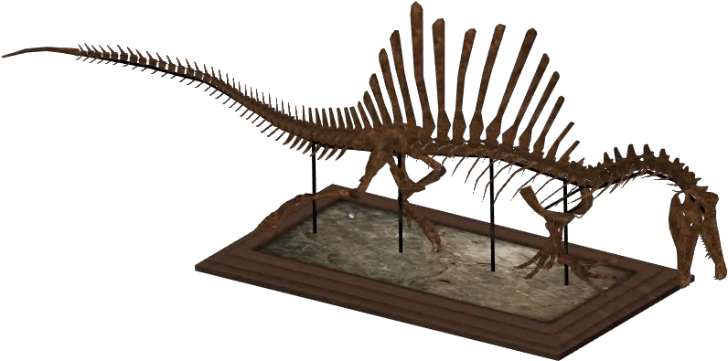  Zt2 Dinosaur Skeletons Lesothosaurus Png Dinosaur Skull Png