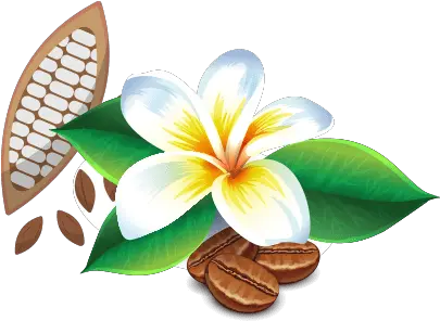  The Farm Maui Chocolate And Coffee Tours Maui Hawaii Fresh Png Hawaii Flower Icon