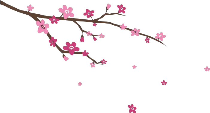  Download Image Blossoms Wall Decal Cherry Blossom Png Cherry Blossom Branch Png