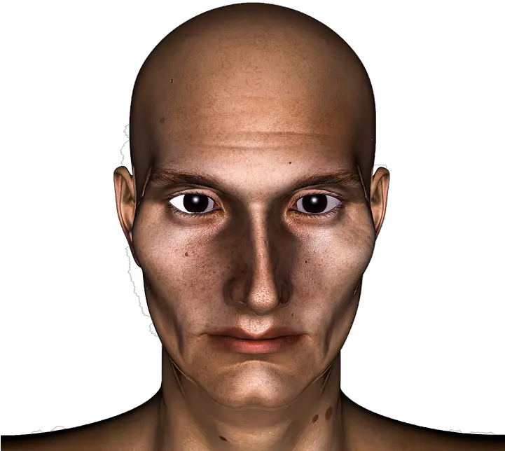  Head Man Bald Careca Png Bald Head Png