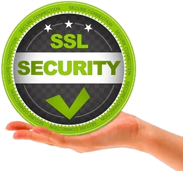  Ssl Certificate Comodo Positive Rapidssl Anyhost Language Png Ssl Certificate Icon