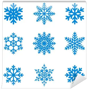  Wall Mural Snowflakes Icon Collection Vector Shape Pixersus Snowflake Patterns Png Snowflakes Icon