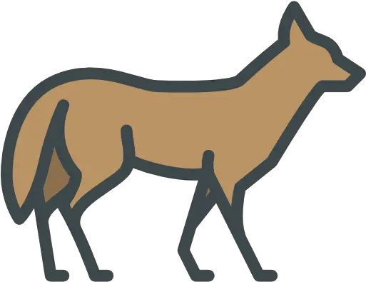  Coyote Free Animals Icons Transparent Coyote Icon Png Coyote Png