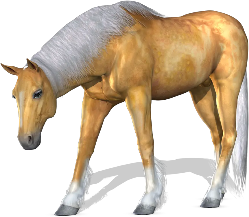  Horse Png Image 3d Horse Png Horse Transparent Background