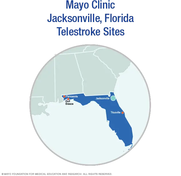  Telestroke Stroke Telemedicine Care At Mayo Clinic Language Png Mayo Clinic Logo Png