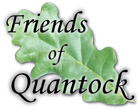  Friends Of Quantock Logo Natural Foods Png Friends Logo Png