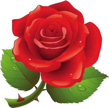  Candela Rodriguez Suarez Rose Vector Png Rose Clipart Png