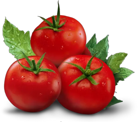  Chumak Ketchup Tomato Plum Tomato Png Tomato Png