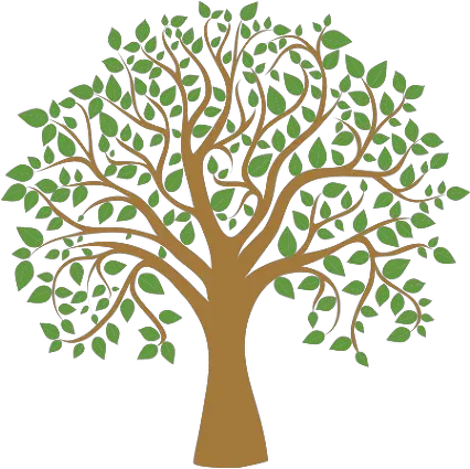  Download Tree Graphic Png Transparent Tree Clipart Tree Graphic Png