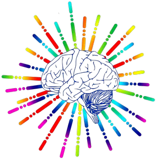  100 Free Brain Icon U0026 Images Science Of Curiosity Png Mind Control Icon